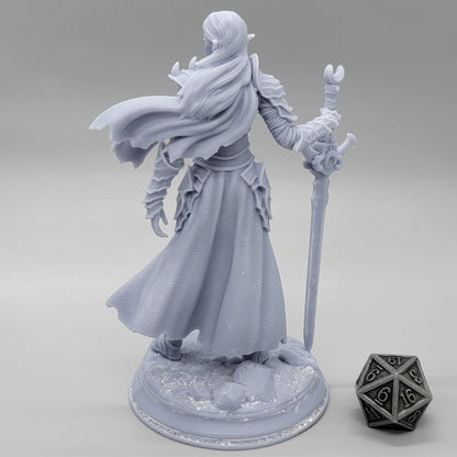 Ilnia Vasrith Paladin of the Moon's Sanctum | 32mm & 75mm Resin Miniature | DM Stash