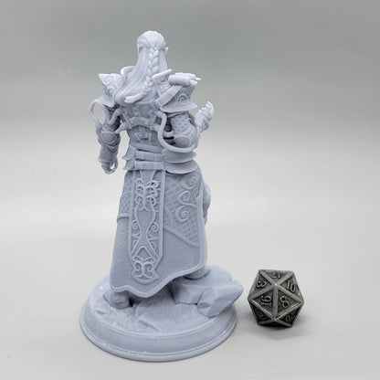 Netros of House Verani - Arcane Artificer Resin Miniature