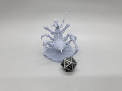 Driders - Drow Monstrosities (NSFW 18+)