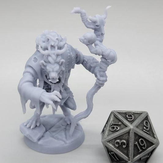 Ruincaller - Gnoll Sorcerer