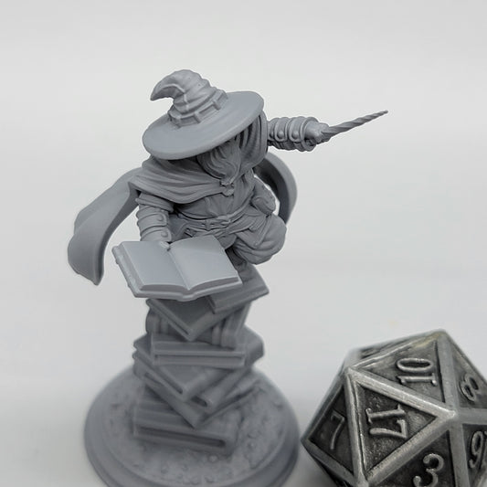 Pepitos the Manic - Gnome Wizard