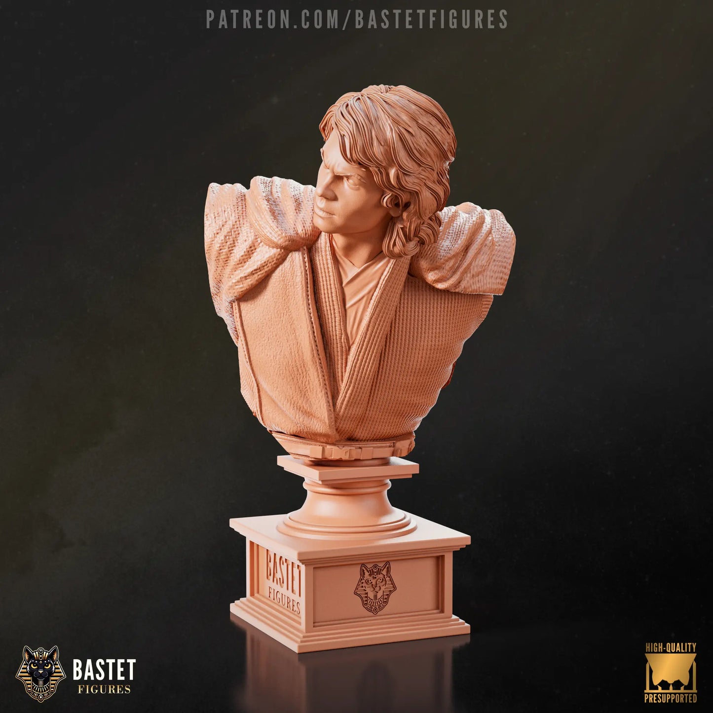 front view Anakin Skywalker high-detail resin fan art bust