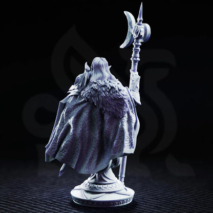 Ardent Silathin – Drow Paladin