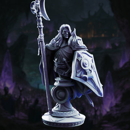 Ardent Silathin – Drow Paladin