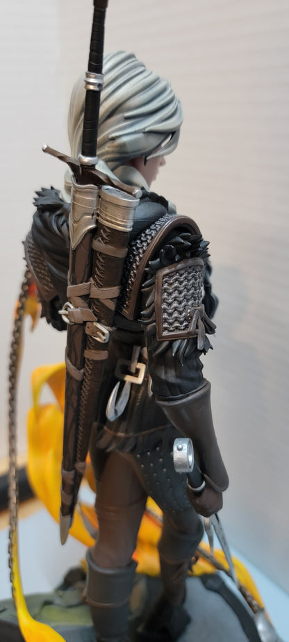 Back Shoulder Close up of Ciri