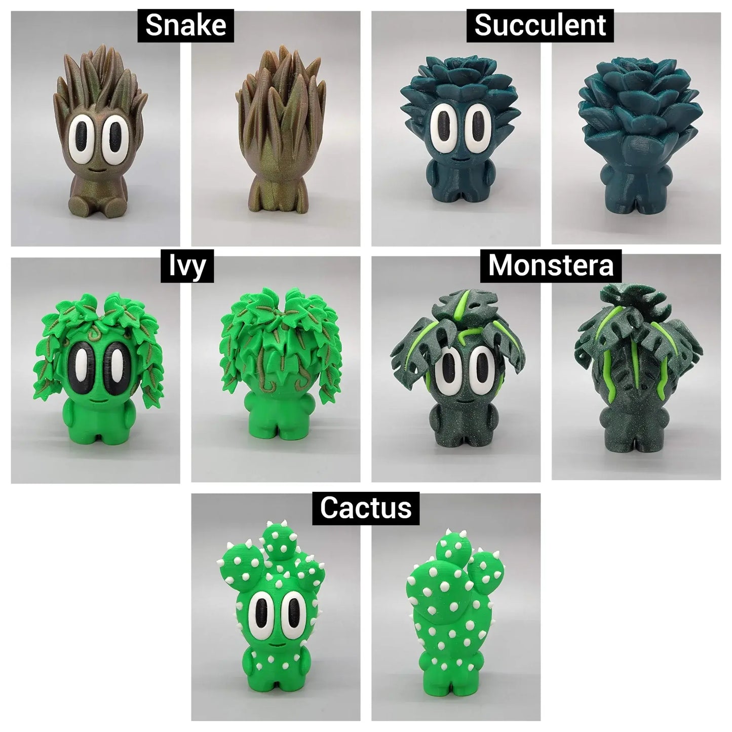 Adopta una Planta Mascota con Maceta