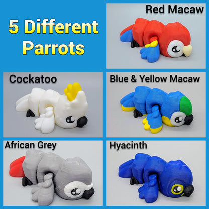 Baby Parrots Fidget Toys