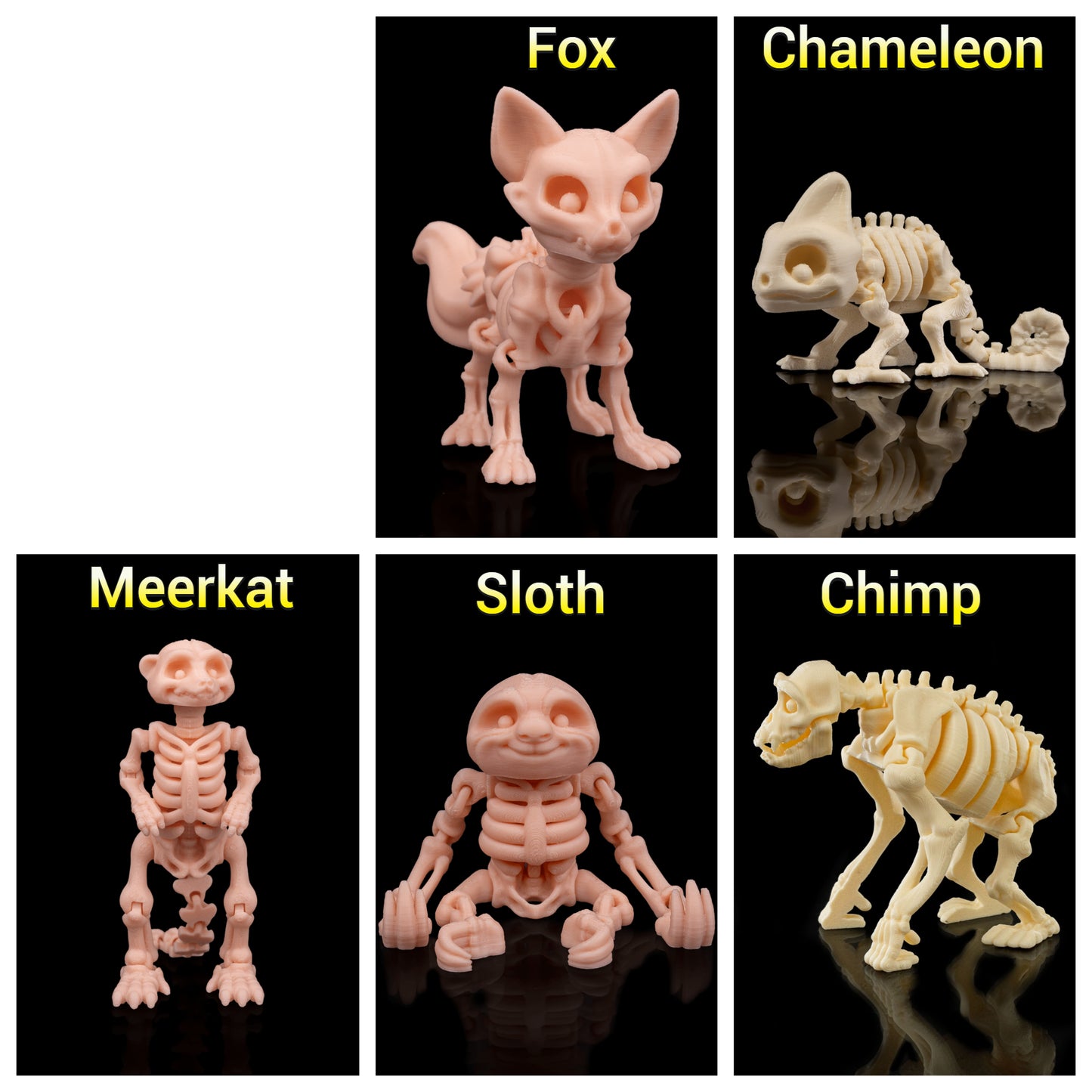 Articulated Animal Skeleton Toys