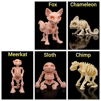 Articulated Animal Skeleton Toys