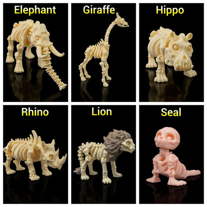 Articulated Animal Skeleton Toys