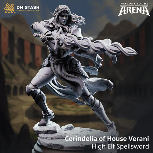Cerindelia of House Verani, a female High Elf spellsword miniature by DM Stash, wielding a magic-infused longsword in a dynamic combat pose on a rocky base.
