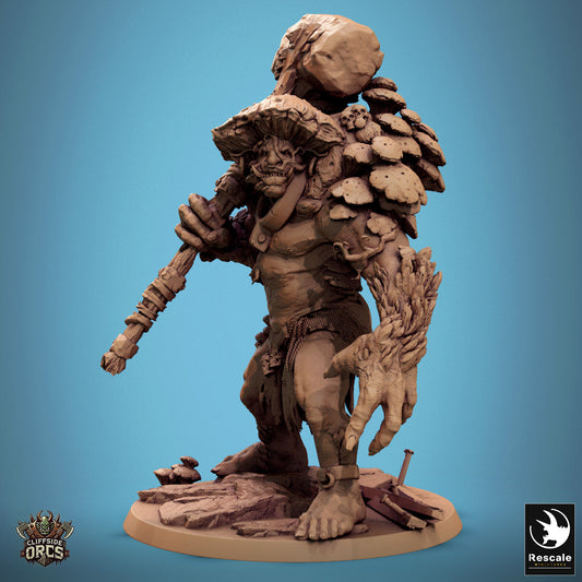 Mycogar fungal ogre resin miniature for D&D and TTRPGs, shown with mushroom growths and massive maul on scenic base.