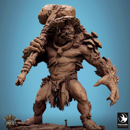 Mycogar fungal ogre resin miniature for D&D and TTRPGs, shown with mushroom growths and massive maul on scenic base.