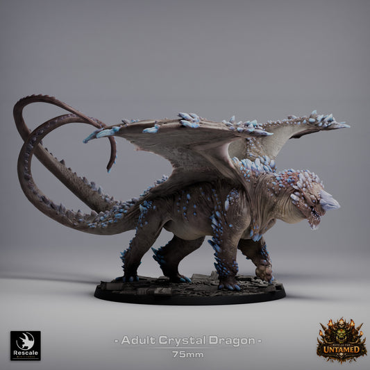 Adult Crystal Dragon resin miniature 32mm scale dragon boss on 75mm base