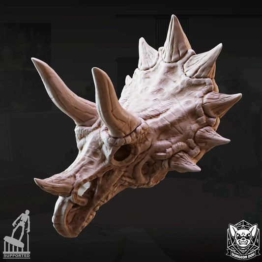 Dinosaur skull with prominent horns on a dark background