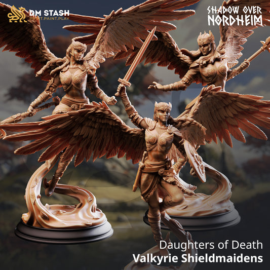 Valkyrie Shieldmaiden resin miniature warriors with wings and dynamic poses