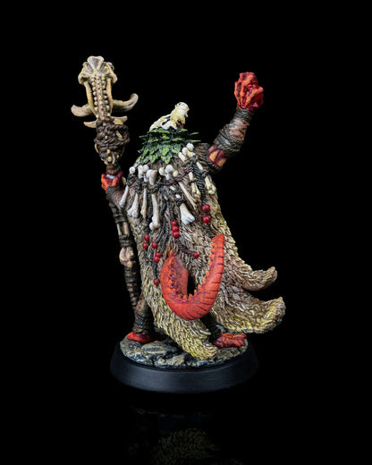 Dragonfolk Shaman