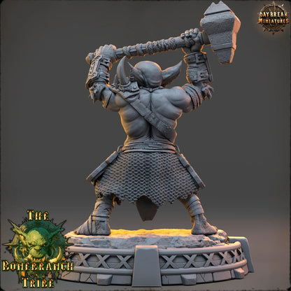 Drogg Skullstamper