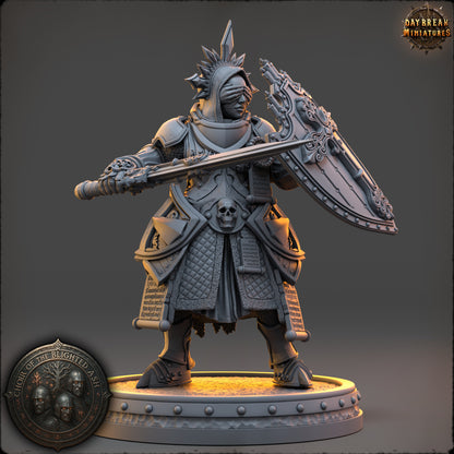 Lyssa Shadowsphere Sentinel of the Blighted Ash resin miniature by Daybreak Miniatures, armored paladin with sword and shield, D&K Custom Prints