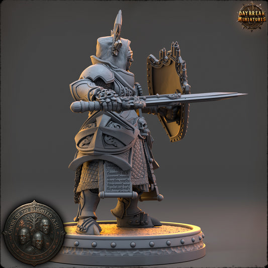 Lyssa Shadowsphere Sentinel of the Blighted Ash resin miniature by Daybreak Miniatures, armored paladin with sword and shield, D&K Custom Prints