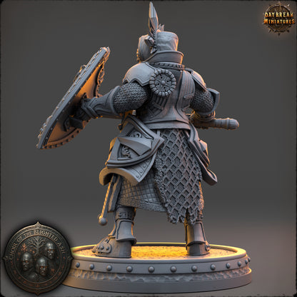 Lyssa Shadowsphere Sentinel of the Blighted Ash resin miniature by Daybreak Miniatures, armored paladin with sword and shield, D&K Custom Prints