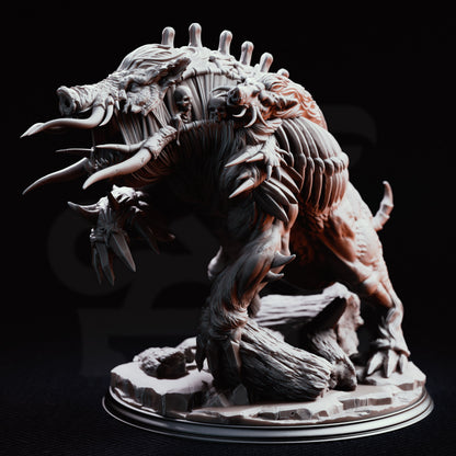 Nogoron - Large Aberration
