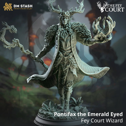Pontifax the Emerald Eyed - Fey Touched Elf Lord