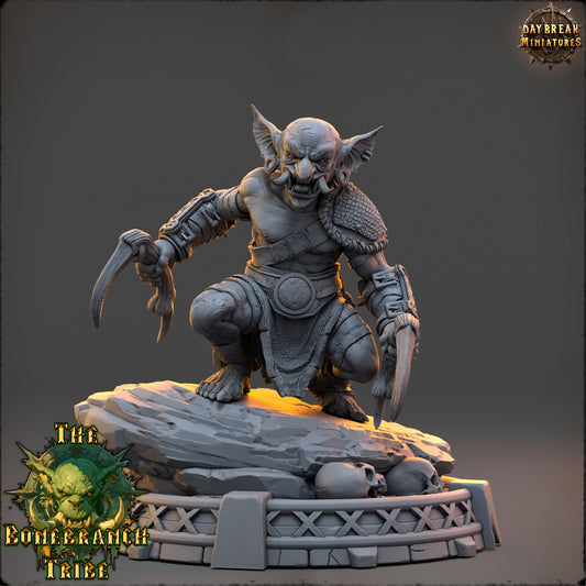Thrizz Sharpnose – Goblin Rogue