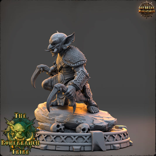 Thrizz Sharpnose – Goblin Rogue