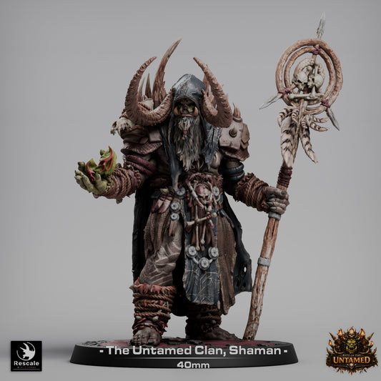 A highly detailed 40mm scale miniature of an Orc Shaman from the Rite of the Untamed collection, featuring large curved horns, a hooded cloak, and a bone-adorned staff topped with a skull. The shaman holds a glowing green flame in one hand, wearing primitive tribal armor and furs.