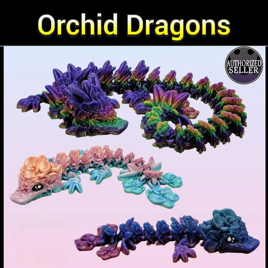 Articulated Orchid Dragons