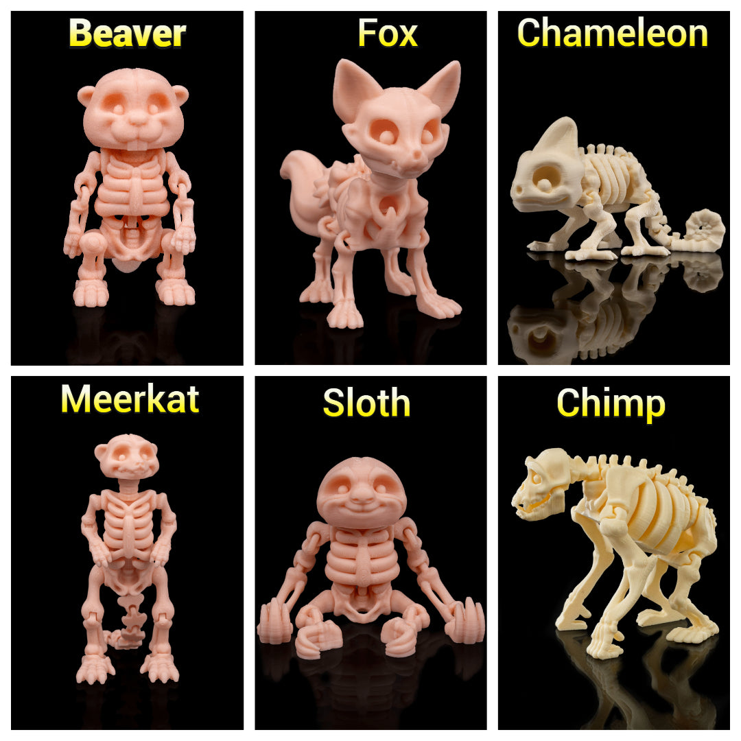 Articulated Animal Skeleton Toys