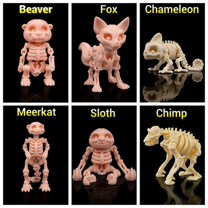 Articulated Animal Skeleton Toys
