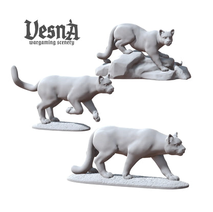 3D printed mountain lion miniatures – 3 poses on scenic bases for tabletop wargaming or TTRPG terrain, perfect for forest or wilderness encounters.