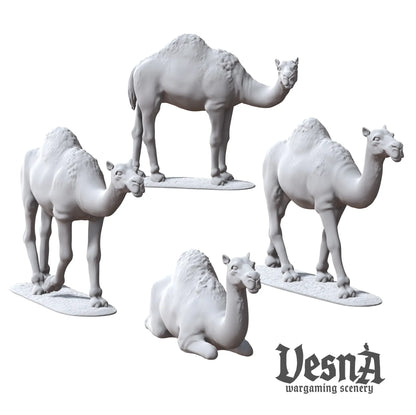 Resin camel miniatures pack with multiple poses for caravan or desert TTRPG and wargaming terrain