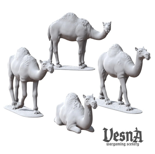 Resin camel miniatures pack with multiple poses for caravan or desert TTRPG and wargaming terrain