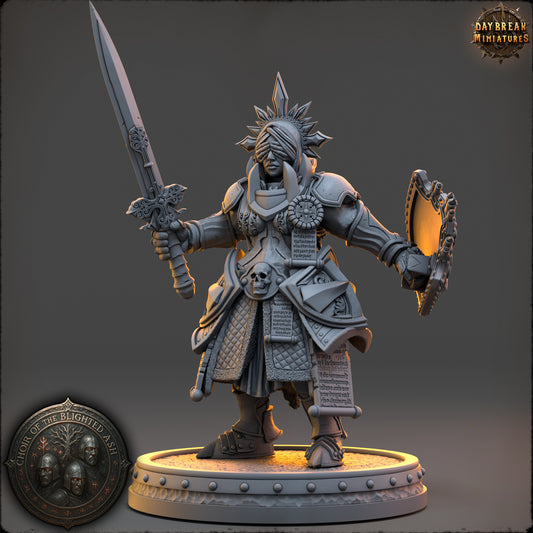 Aurelia Darkthorne Human Paladin miniature in heavy armor wielding a one-handed sword and shield.