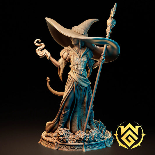 Brim Wizard Half-Elf Wizard miniature wearing an oversized hat and flowing robes while holding an ornate staff and conjuring magic.