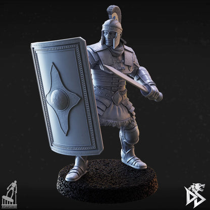 Human City Guard D2 advancing with a sword and large decorated rectangular shield while wearing layered armor.