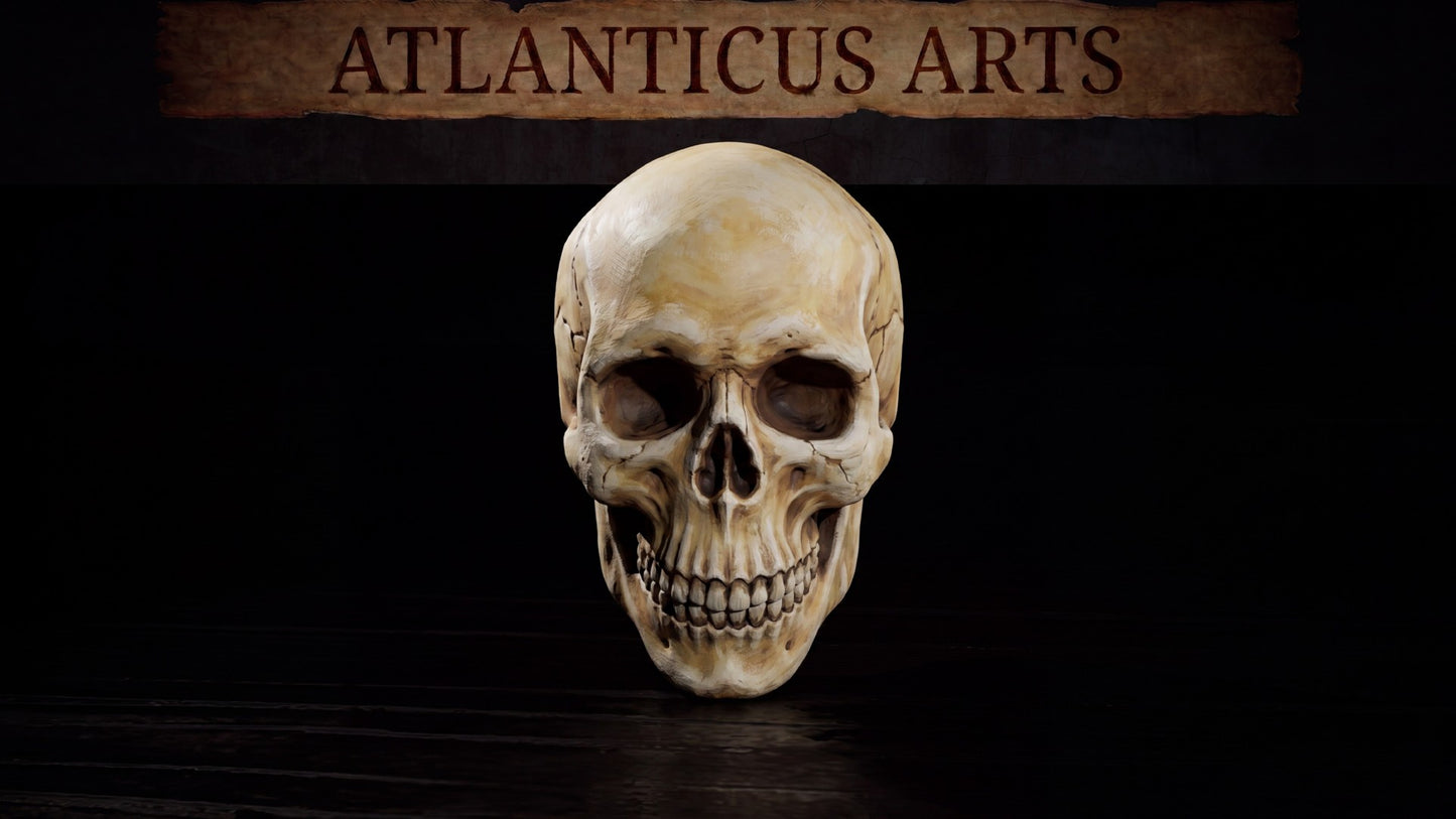 Full view of the rendered view bone skull miniature by Atlanticus Arts, ideal for basing, kitbashing, and model customization.