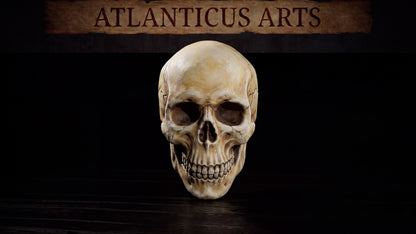 Full view of the rendered view bone skull miniature by Atlanticus Arts, ideal for basing, kitbashing, and model customization.