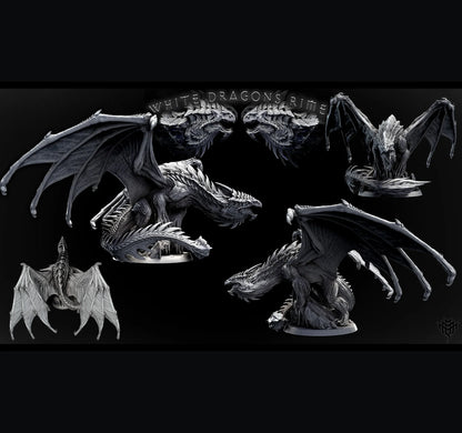 Adult White Dragon