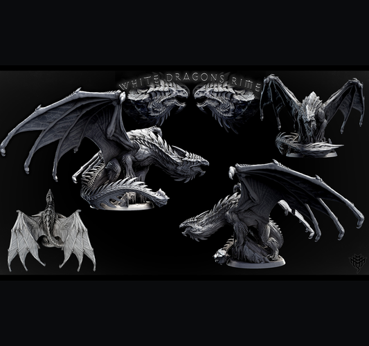 Adult White Dragon