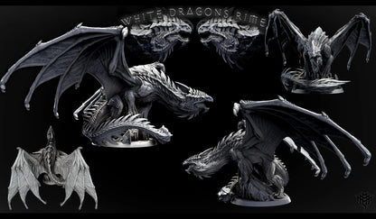 Adult White Dragon