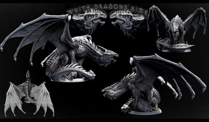 Adult White Dragon