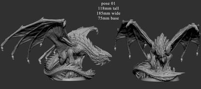 Adult White Dragon