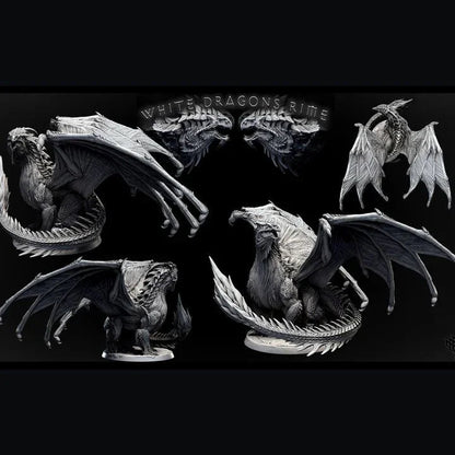 Adult White Dragon