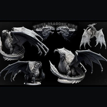 Adult White Dragon