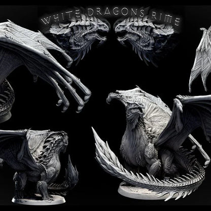 Adult White Dragon
