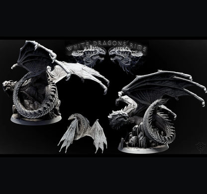 Dragón blanco adolescente